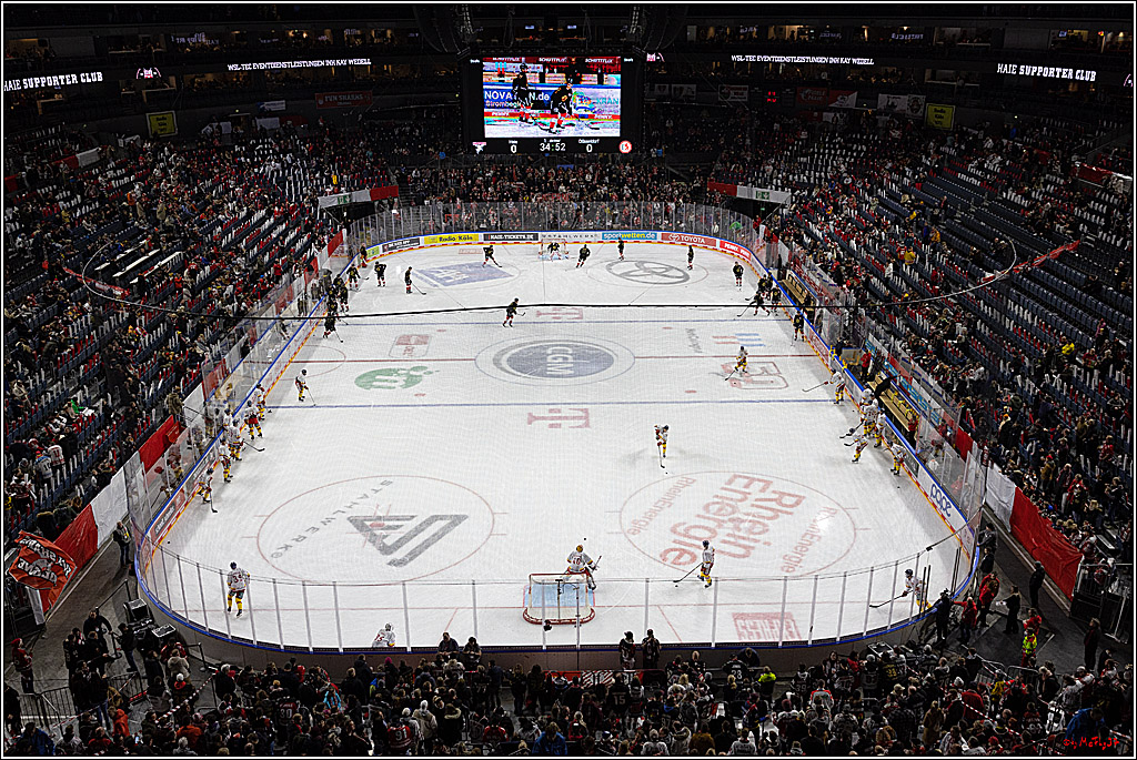 PENNY DEL;  Kölner Haie - Düsseldorfer EG; Köln, 16.12.2022